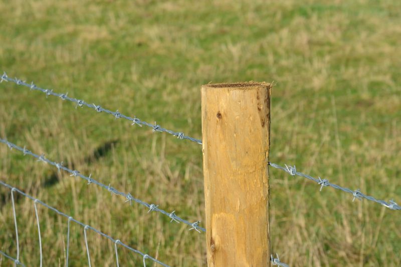 Barbed Wire Fence Replacement detail